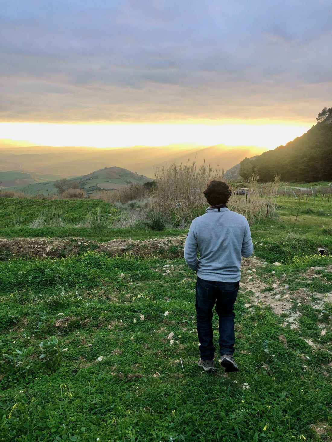 Ný uppskera og hvít áfylling frá Alessandro Viola