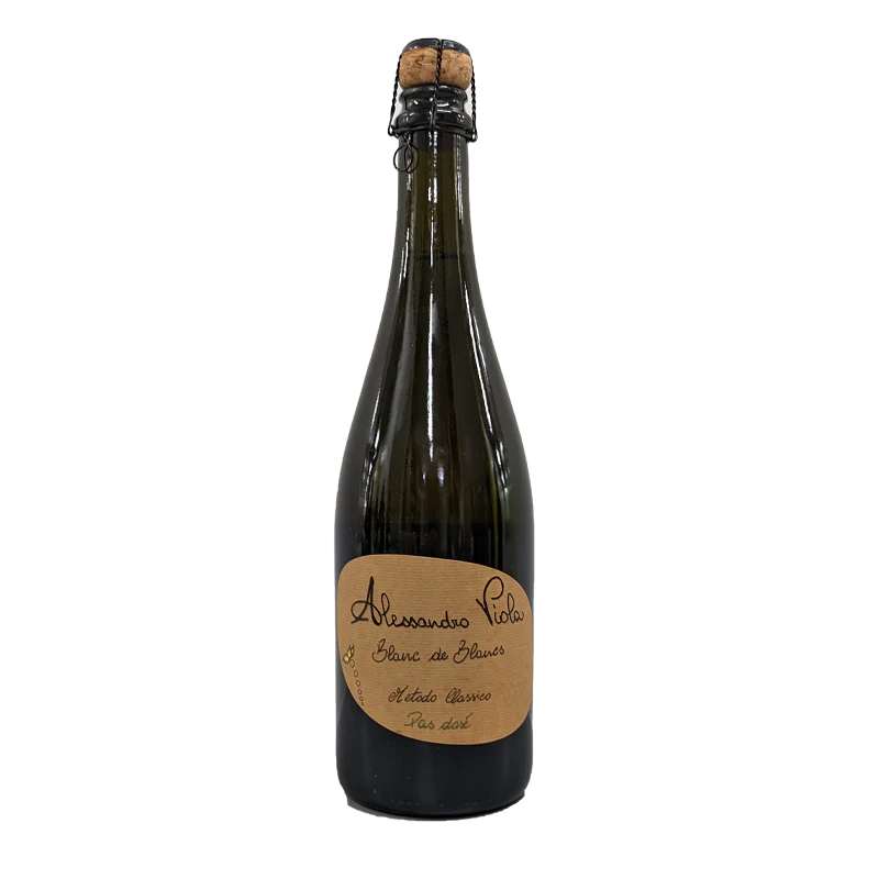 Alessandro Viola Spumante pas Dosé Blanc de Blancs