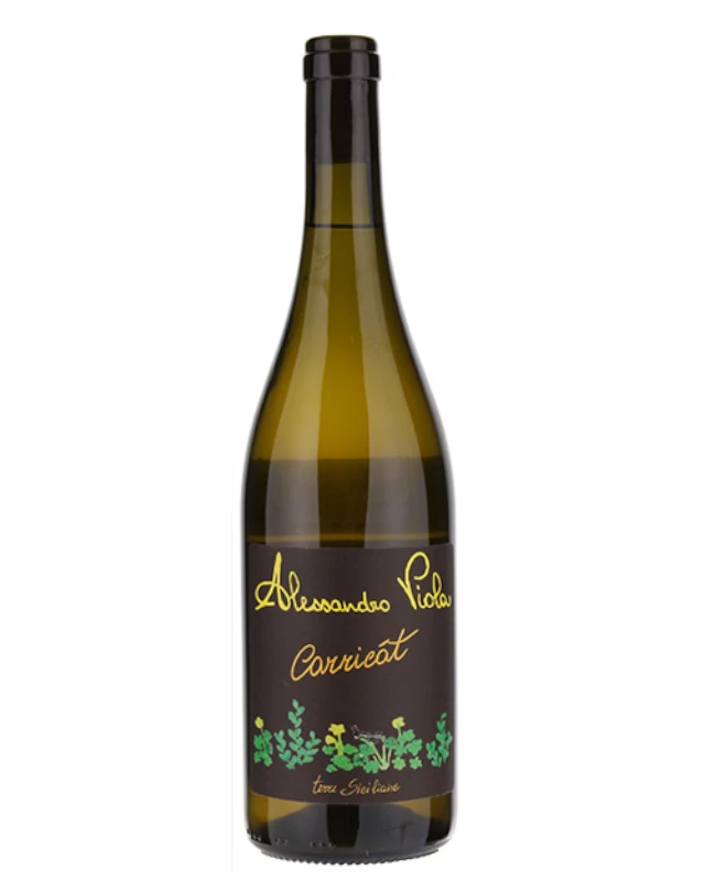 Alessandro Viola Carricát 2023