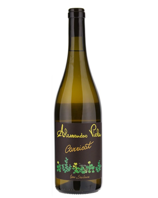 Alessandro Viola Carricát 2023